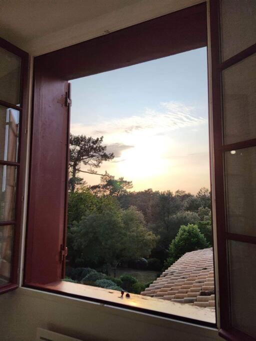 Arcachon Appartement 4 Personnes - Residence Beausejour Zewnętrze zdjęcie