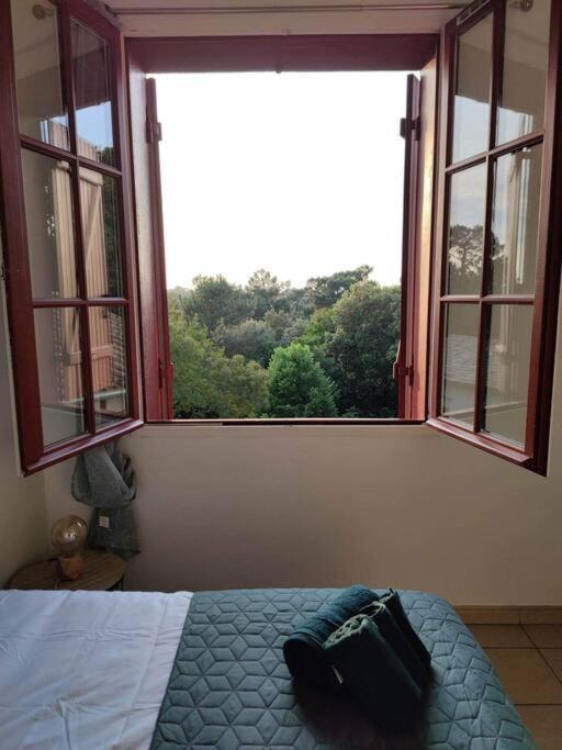 Arcachon Appartement 4 Personnes - Residence Beausejour Zewnętrze zdjęcie